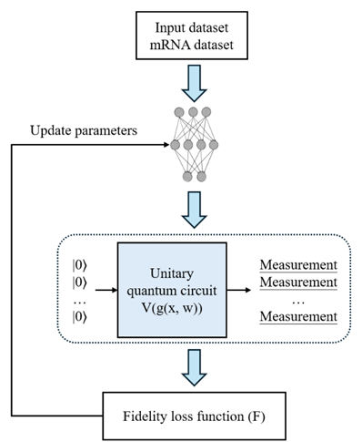 NQE workflow